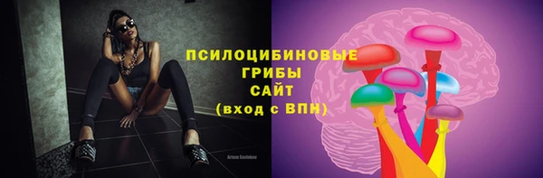 ПСИЛОЦИБИНОВЫЕ ГРИБЫ Краснотурьинск