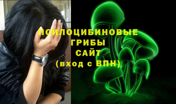 ПСИЛОЦИБИНОВЫЕ ГРИБЫ Краснотурьинск