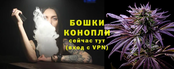 ПСИЛОЦИБИНОВЫЕ ГРИБЫ Краснотурьинск