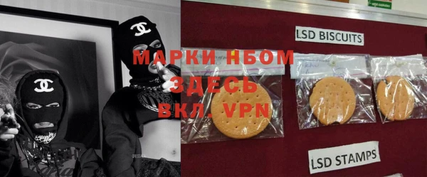ПСИЛОЦИБИНОВЫЕ ГРИБЫ Краснотурьинск