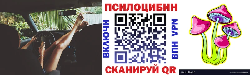 цена наркотик  Ряжск  Галлюциногенные грибы Psilocybine cubensis 